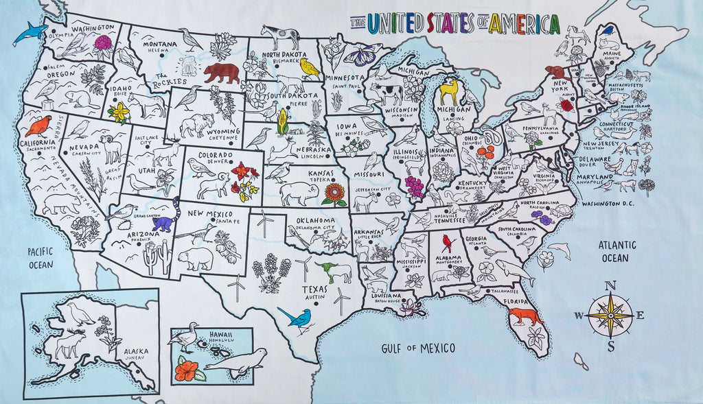 Kibakids - US map tablecloth