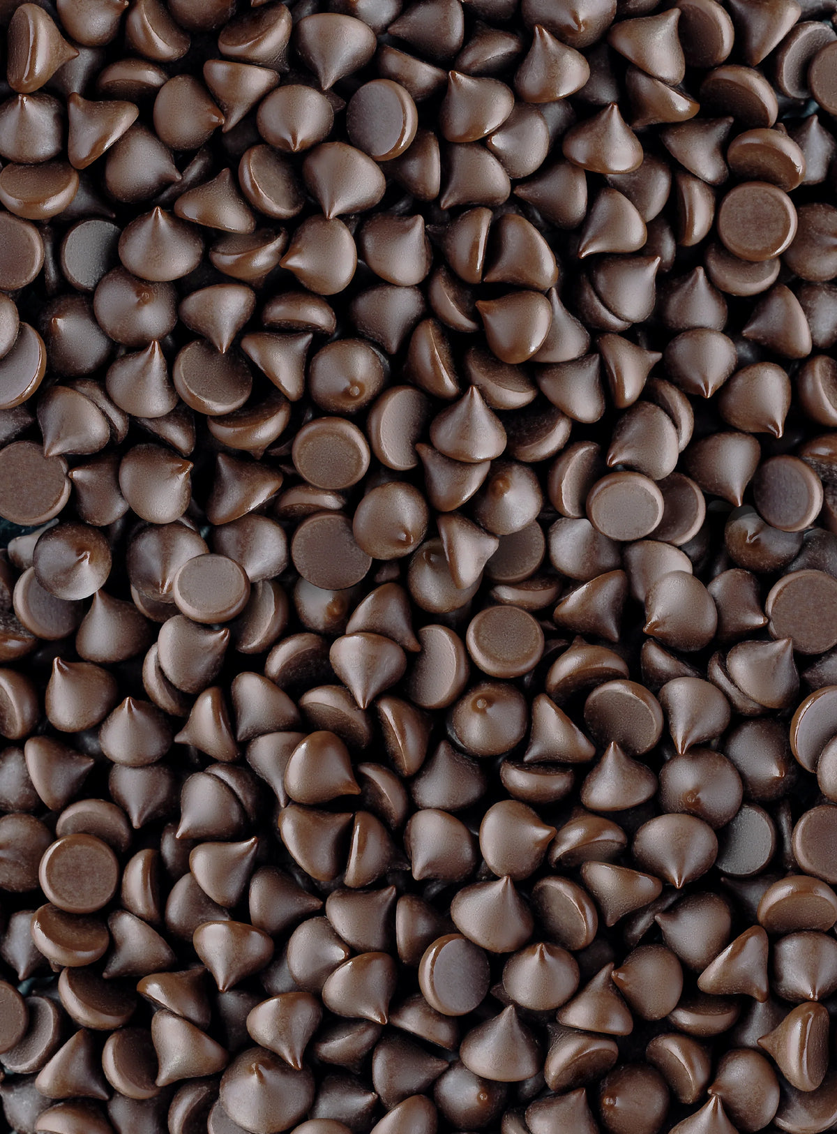 Shavelo - Bulk Mini Chips (10 lbs) - 55% Cacao Organic Vegan Semi-Sweet Dark Chocolate Chips (4000 ct)