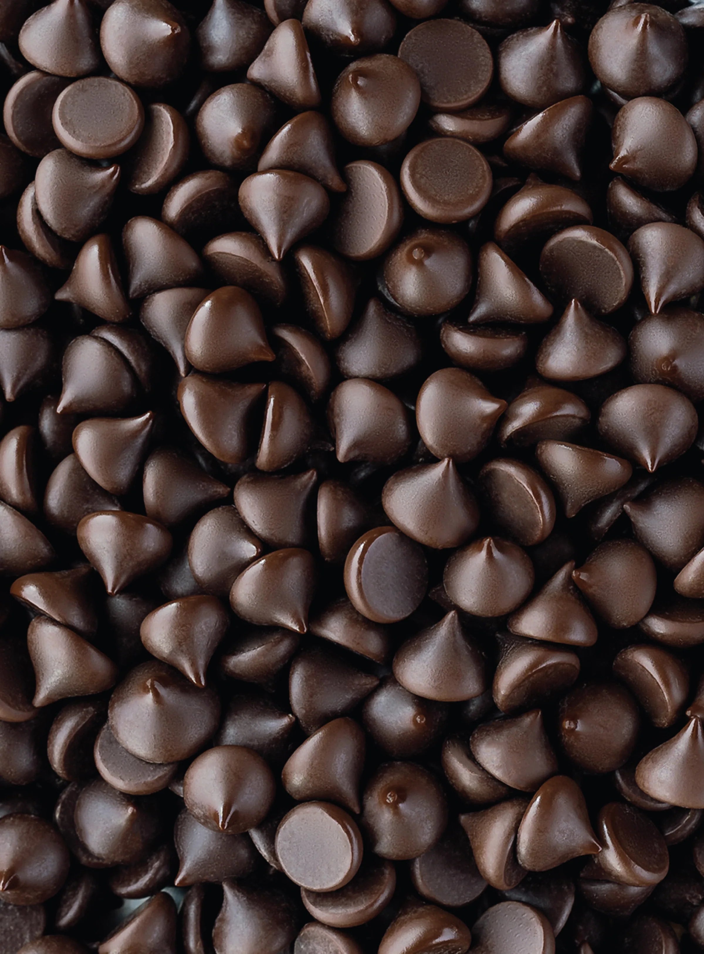 Shavelo - NEW! 70% Cacao Organic Bitter-Sweet Dark Chocolate Chips with Coconut Sugar (8 Bags)
