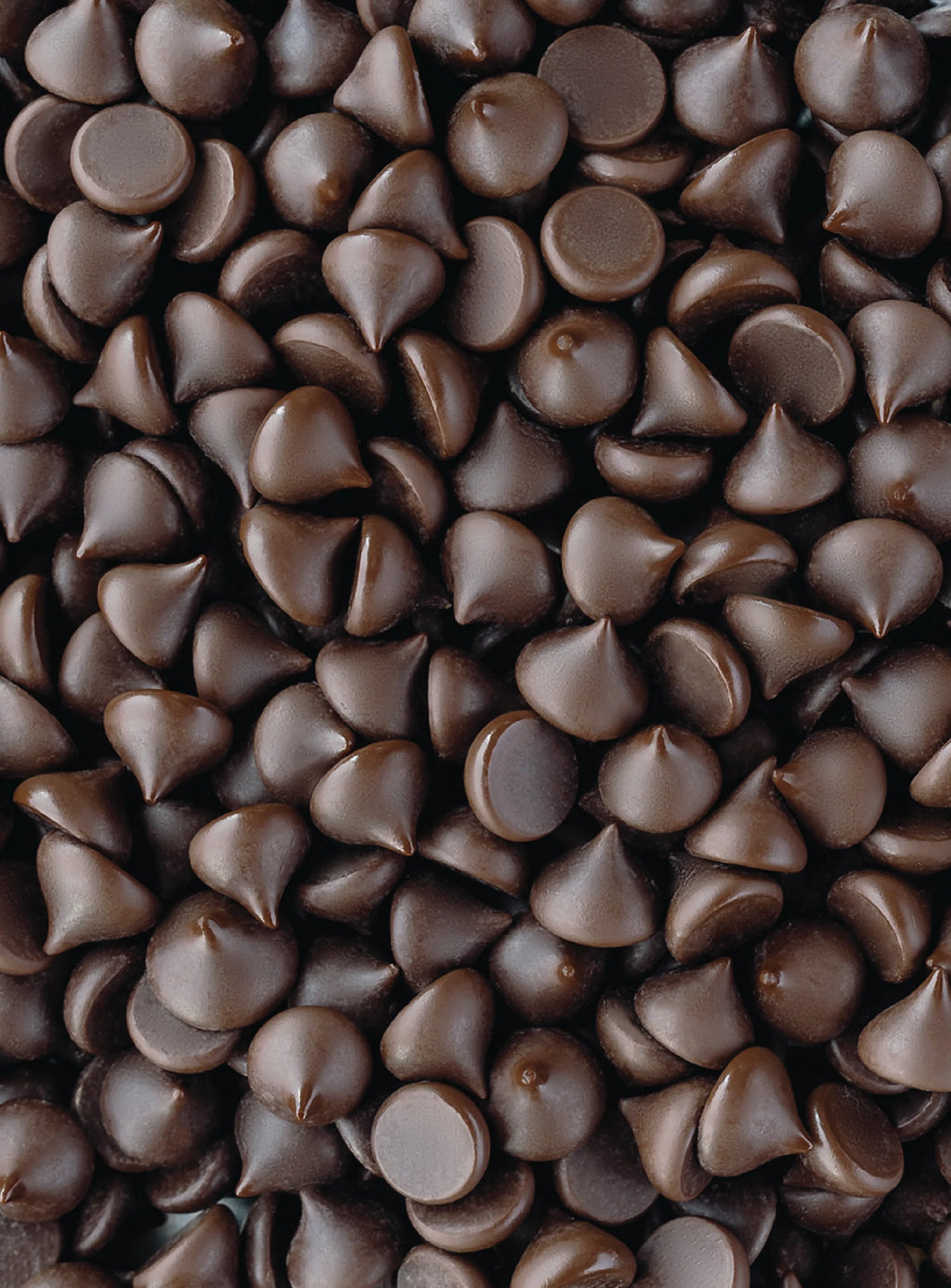 Shavelo - 55% Cacao Organic Vegan Semi-Sweet Dark Chocolate Chips (6 Bags)