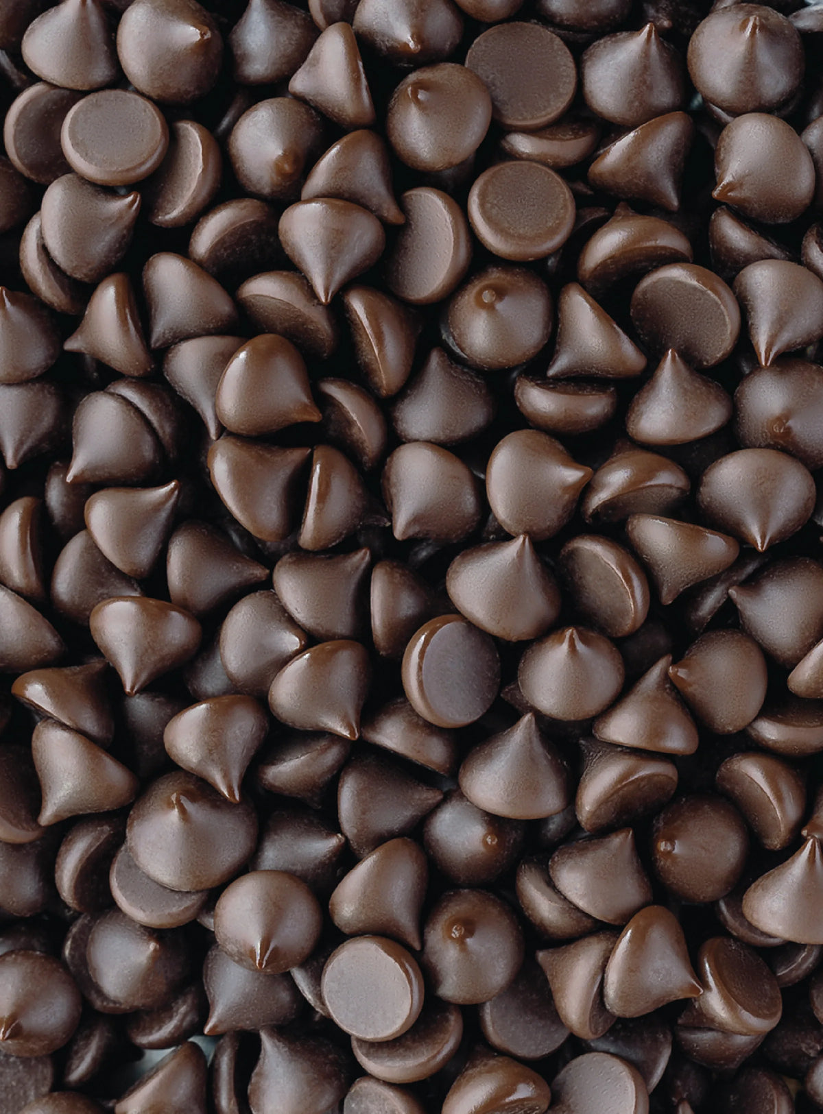 Shavelo - 55% Cacao Organic Vegan Semi-Sweet Dark Chocolate Chips (6 Bags)