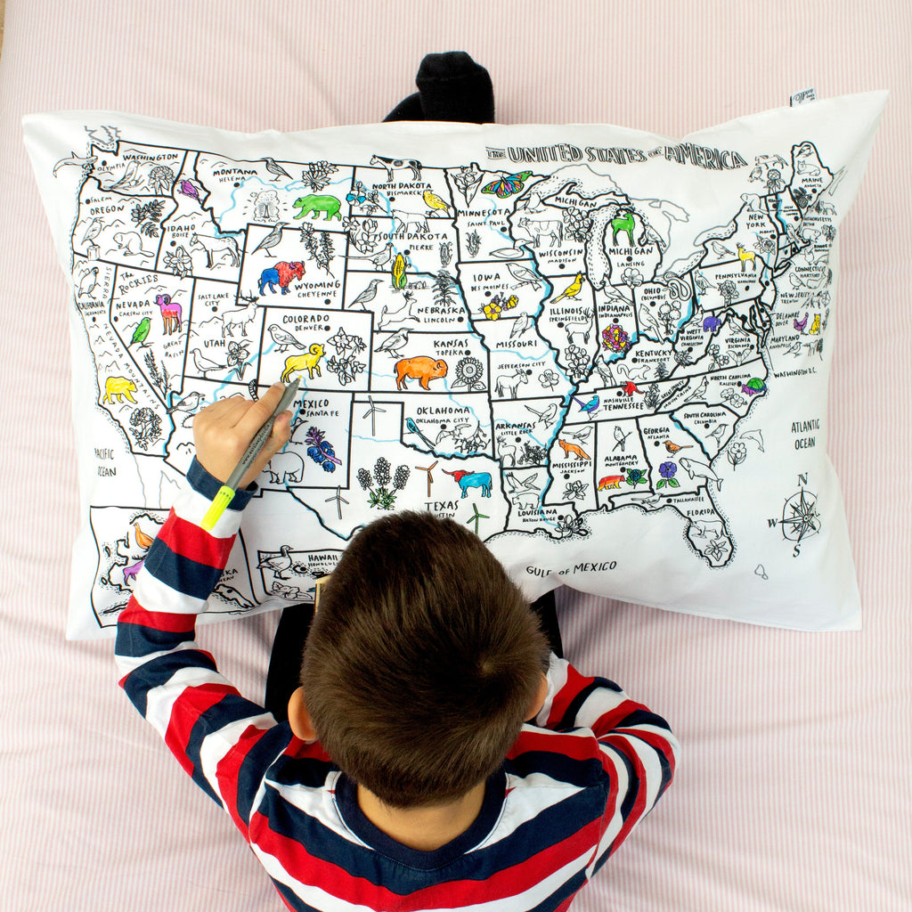 Kibakids - US map pillowcase